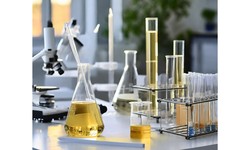 Navigating the Quest for Legitimate and Affordable Chemistry Assignment Help
