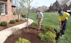 From Vision to Reality: Your Ultimate Guide to Landscaping Contractors Cedar Lake