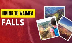 Hike Waimea Falls: A Journey into Oahu’s Natural Beauty