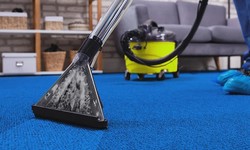Introduction to Melbourne's Cleaning Industry