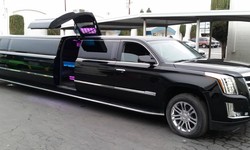 How The Best Limo Transportation Services Can Transform Your Events