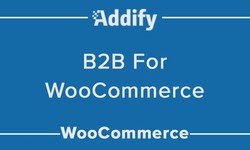 WooCommerce B2B - A Complete Wholesale Plugin by Addify | 2023-24