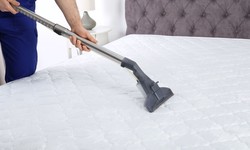 Expert Tips: How to Maintain a Clean Mattress All Year Round
