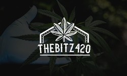 The Bitz 420: Pioneering a Modern Cannabis Experience in the UK