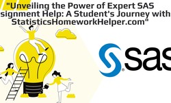 A Student's Perspective: My Experience with StatisticsHomeworkHelper.com and StatisticsAssignmentHelp.com