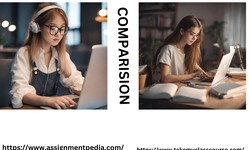 A Comprehensive Comparison between TakeMyClassCourse and AssignmentPedia