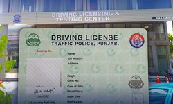 Seamless Process: How to Apply for a Learner’s Permit in Punjab Online