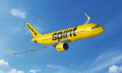 How do I Talk to Spirit Airlines Live Person?