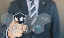 Audits and Oversight in Health Plan Management