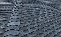 Reasons To Invest In Professional Roofing Services