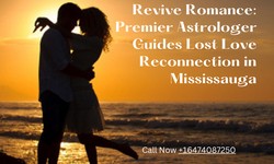 Rediscover Love: Rekindle Your Relationship with Astrologer Shankar in Toronto
