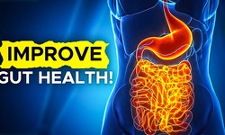 Functional Medicine Doctor in Gurgaon: Guides you to improve your internal diseases of your gut health