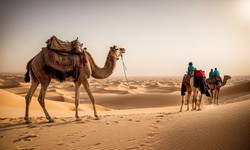 Tips for the Desert Safari Dubai
