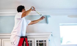 Elevate Your Home's Aesthetics with Expert Jacksonville FL Exterior Painting Services