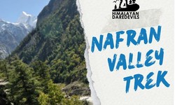 Explore the Stunning Nafran Valley Trek | Himalayan Daredevils