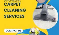 Sweep Away Dirt and Grime: Top-Tier Carpet Cleaning Services