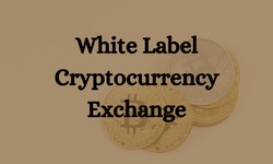 Unveiling the Power of White Label Crypto Exchanges: A Comprehensive Guide