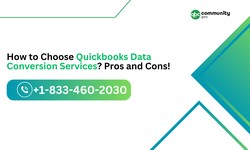 How to Choose Quickbooks Data Conversion Services? Pros and Cons!