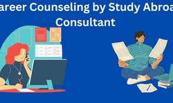 Career Counseling and Job Placement Guidance by Study Abroad Consultant