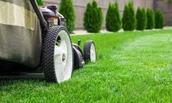 "The Benefits and Considerations of Overseeding Your Lawn in Spring"