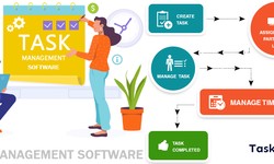 Task Management Software For Small Business
