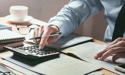 Are Tax Audits Expensive?