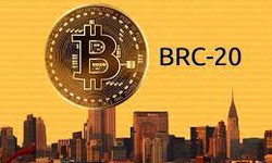 Unveiling the Power of BRC-20 Wallet Development: A Strategic Business Insight