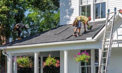 Why Professional Roofing Services Are a Necessity?