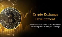 Critical Considerations for Launching a Cryptocurrency Exchange in 2024