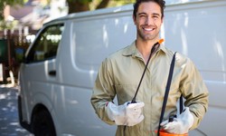 The Importance of Regular Pest Control for a Happy Home