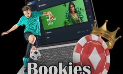 All you need to know about Bookmaker's Licenses