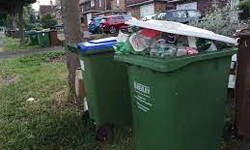 Bexley Bin Collection: Keeping Your Neighborhood Clean and Green