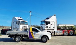Tasmanian Triumph: Beyond Borders with Top Freight Companies