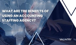 Accounting Staffing Agency |  Accounting Staffing Company