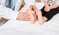 Taking a Step Towards Healthy Feet: Choosing the Right Foot Doctor in St. Clair Shores, MI, and Macomb, MI