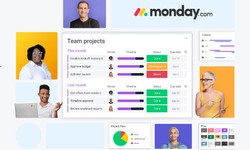 Elevate Project Management With monday.com Consultants