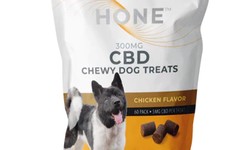 Chewy Bliss: Enhancing Your Pet's Well-Being with CBD Treats in MN