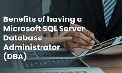 Benefits of having a Microsoft SQL Server Database Administrator (DBA)