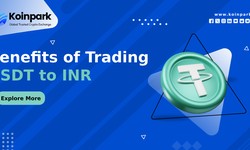 Benefits of Trading USDT to INR