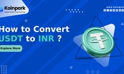 How to Convert USDT to INR