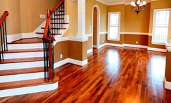 Flooring Trends 2024: Upcoming Stylish Journey with Contractors