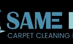 Refresh Your House with Expert Carpet Cleaning In Richmond