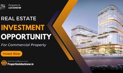 Real Estate Investment Opportunity For Commercial Property