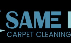 Enhancement of Your Residence with Professional Carpet Cleaning Service in Windsor