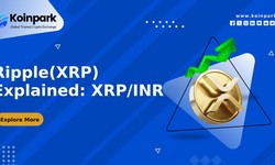 Ripple(XRP) Explained: XRP/INR