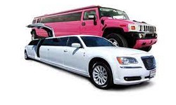 Exotic Travels in the Forest City: Examining Rockford, Illinois, Limo Services