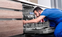 Craft Culinary Havens: Dishwasher Repair and Installation Services