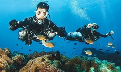 Unveiling the Depths: A Comprehensive Exploration of Koh Tao Dive Courses