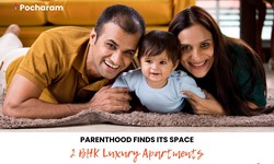 Are there any luxurious as well as budget-friendly apartments for sale in Hyderabad?