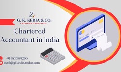 A Chartered Accountant in India